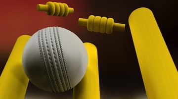 indoor cricket