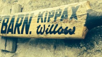 cricket bat willow