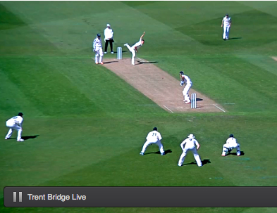 Live cricket online remains a work in progress - 393 x 303 jpeg 113kB