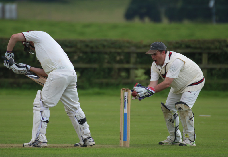 a world thrive of wonder small cricket keeper