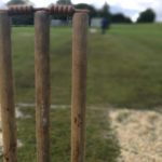 cricket stumps