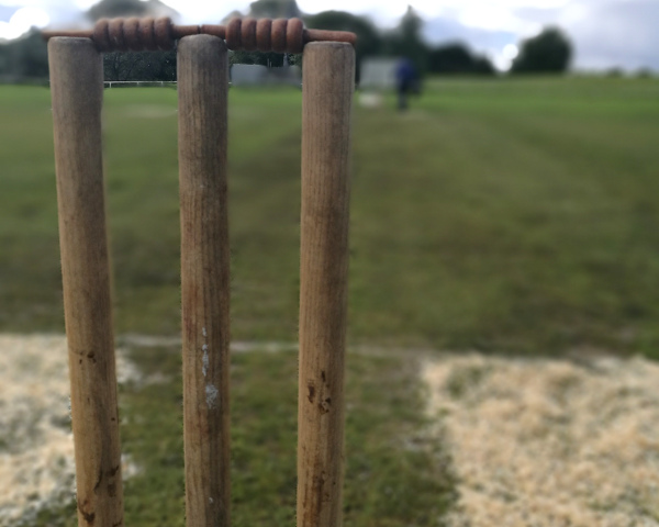 cricket stumps