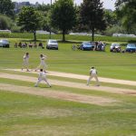 york cricket club ground