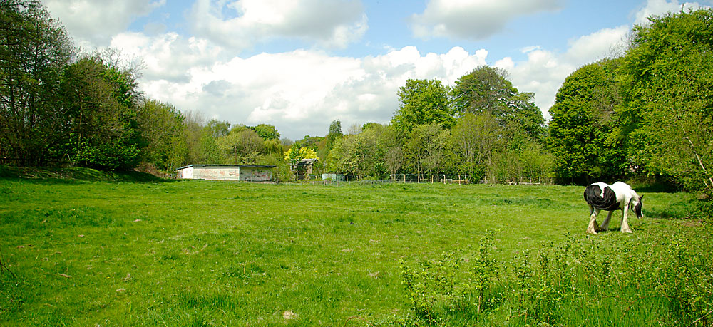 highbury cricket