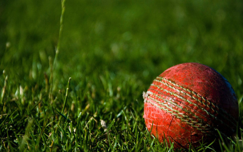 red cricket ball in grass