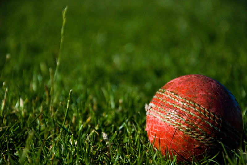 red cricket ball in grass
