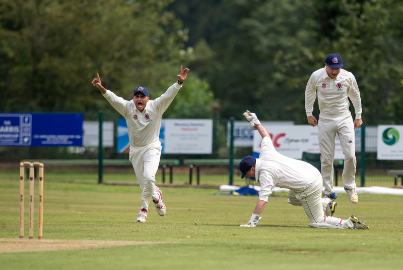 aire-wharfe cricket-out