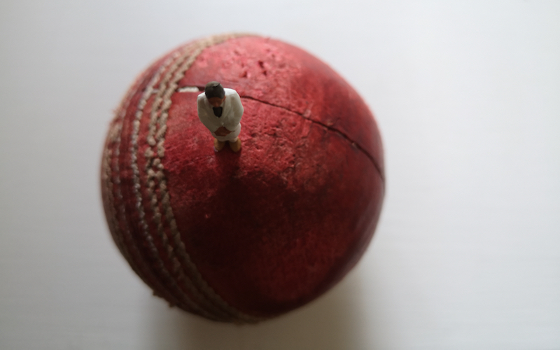 Cricket Ball - Cricket Yorkshire
