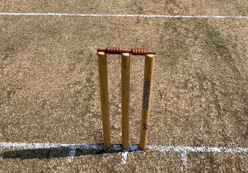 norton woodseats cricket wicket