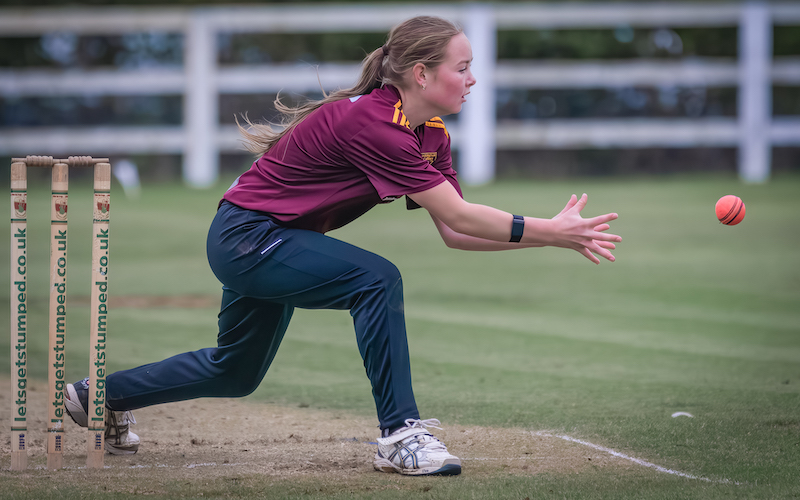 Preview: South Yorkshire Women & Girls Cricket League